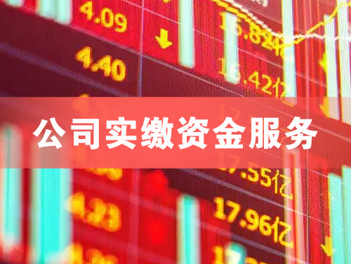 临清公司实缴资金服务